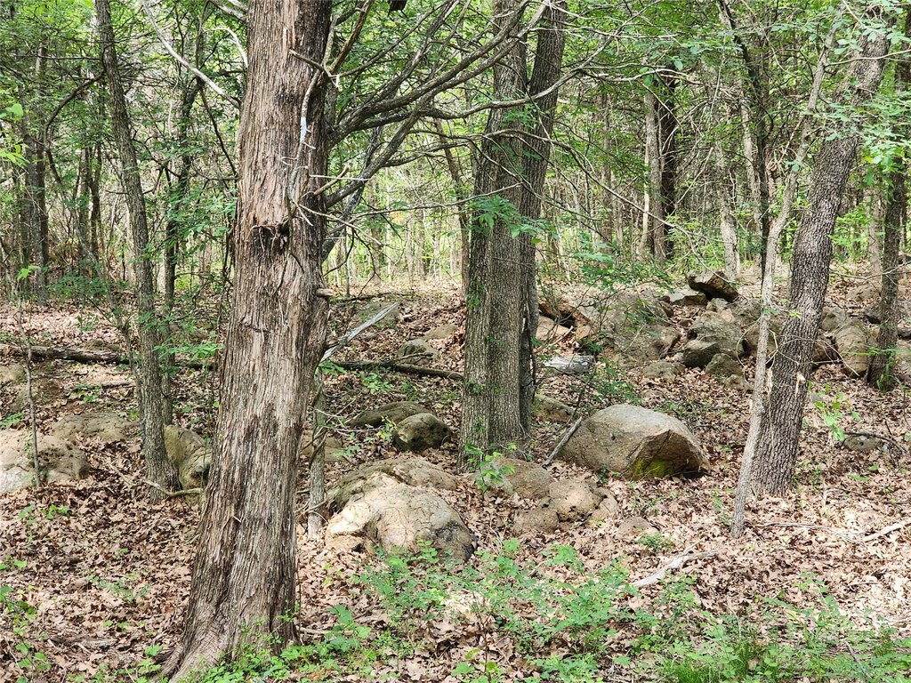 Picture 27