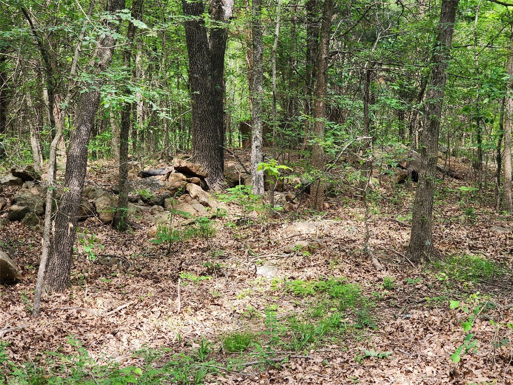 Picture 26