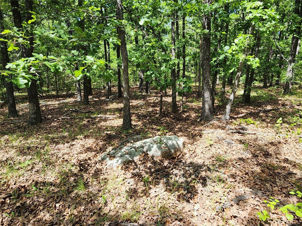 Picture 21