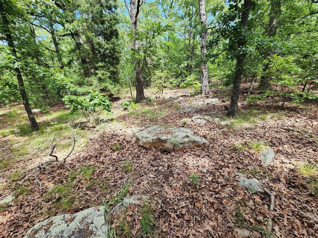 Picture 17