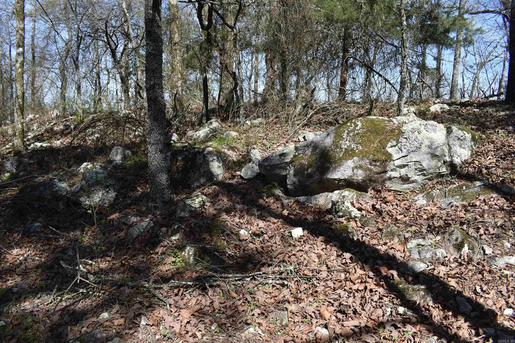 Picture 31