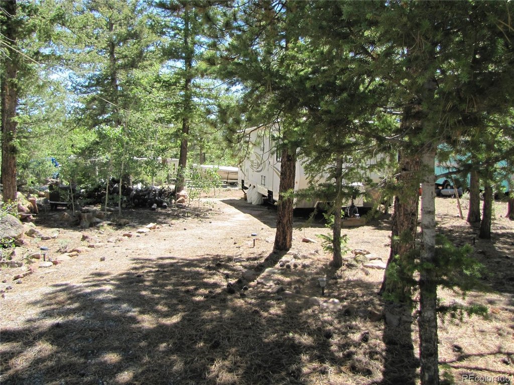 Picture 4