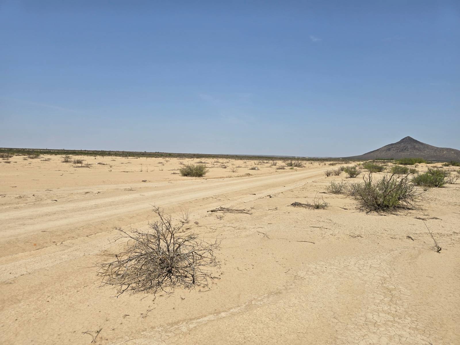Terlingua Ranch Vacant Land