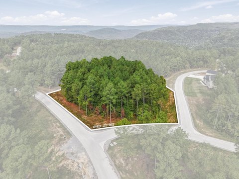 Land, Guild, TN