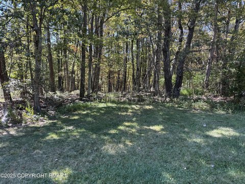 Flat Lot in Mount Pocono
