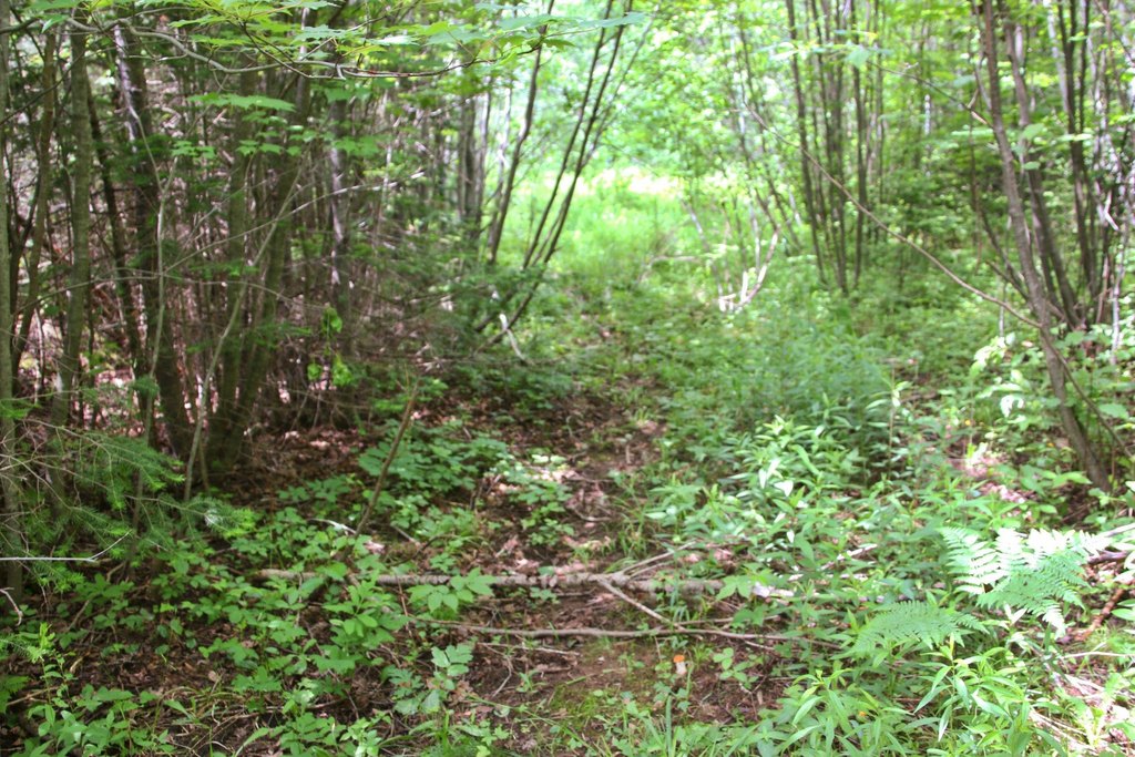 Picture 69