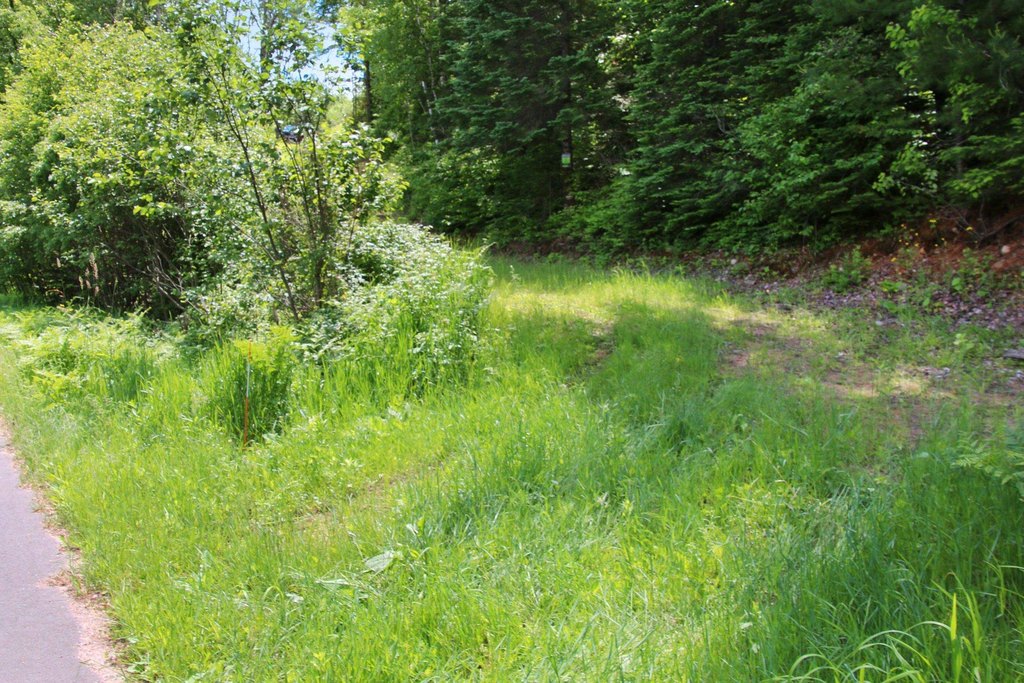 Picture 52