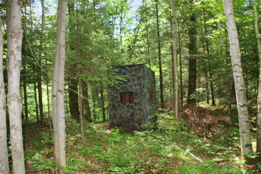 Picture 42