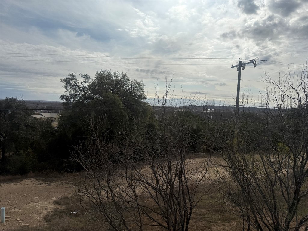 Picture 23