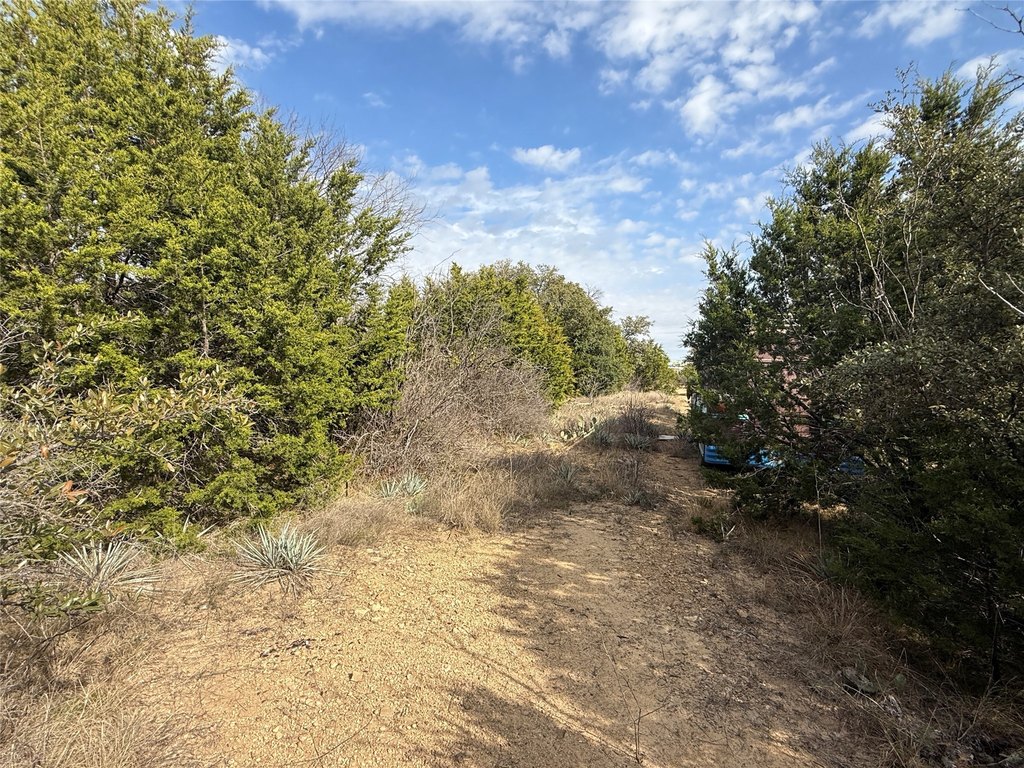 Picture 14