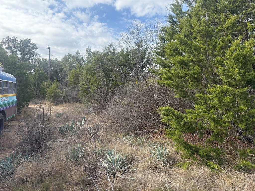 Picture 32