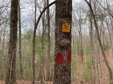 Unrestricted Land Near Two Lakes