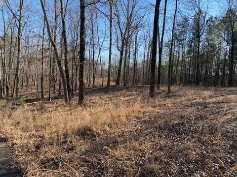LAND - Savannah, TN
