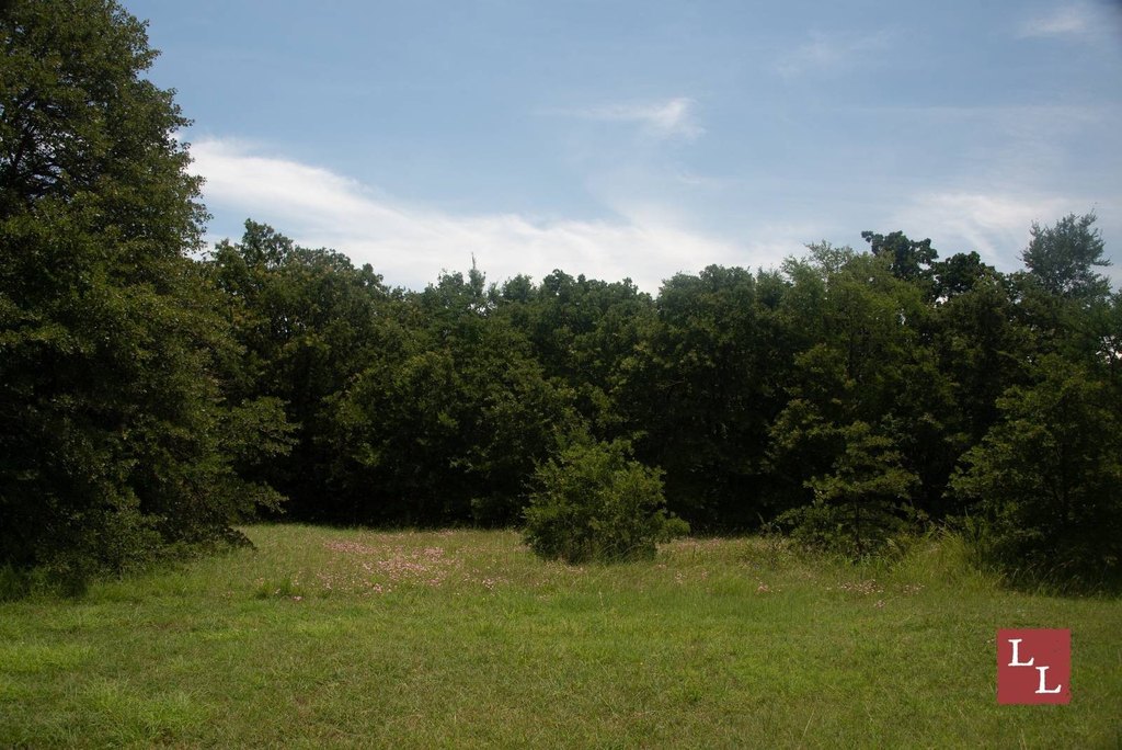 Picture 30