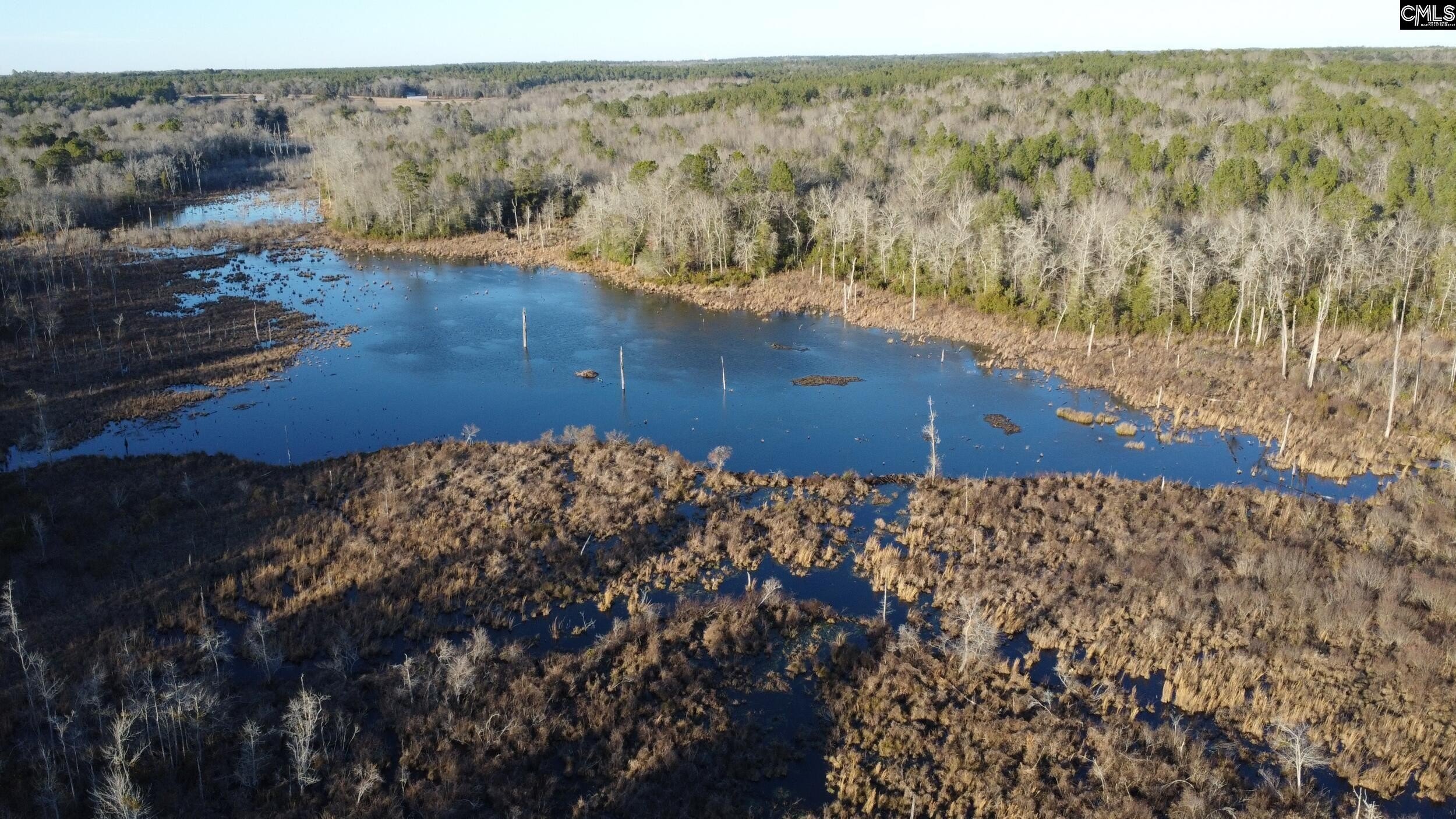 40 Acres in Wagener with Pond