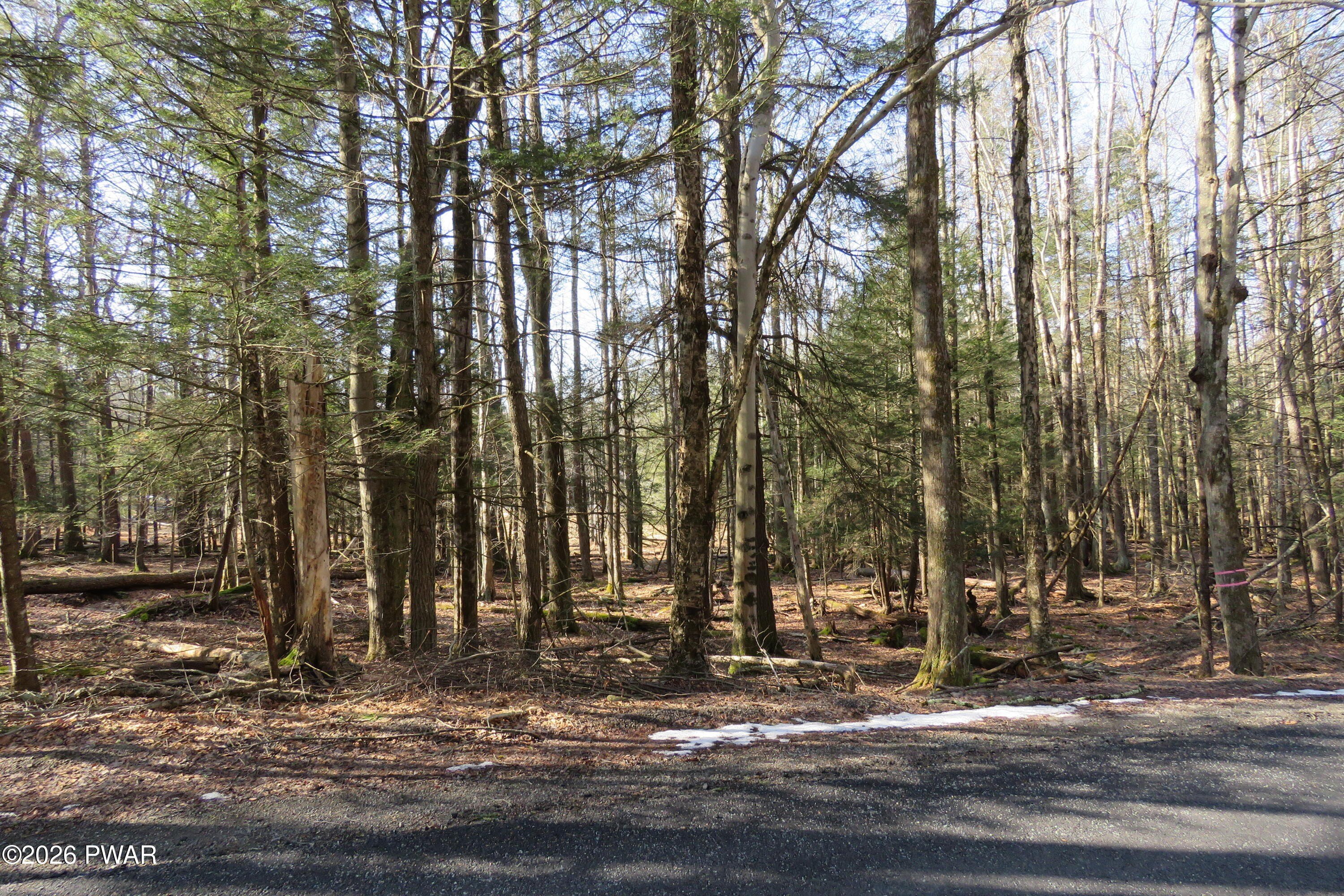 Lake Ariel Land Ready to Build