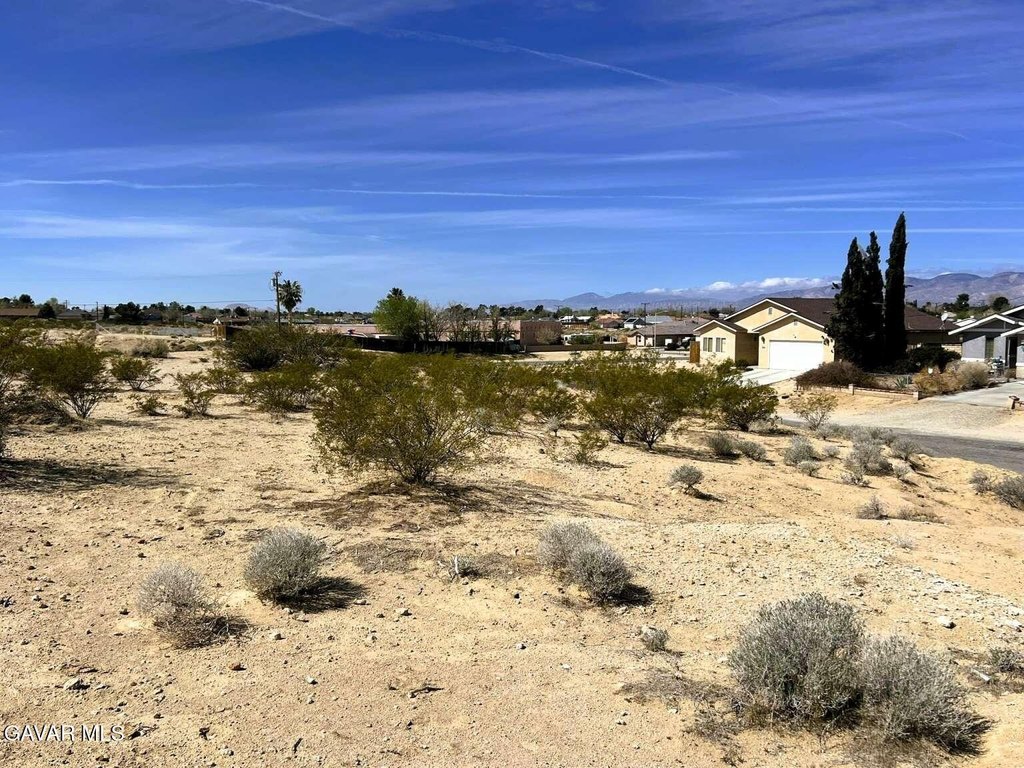 Picture 9