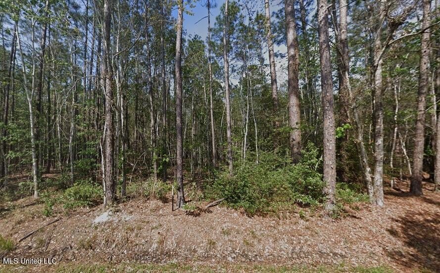 Wooded Lots in Bay Saint Louis