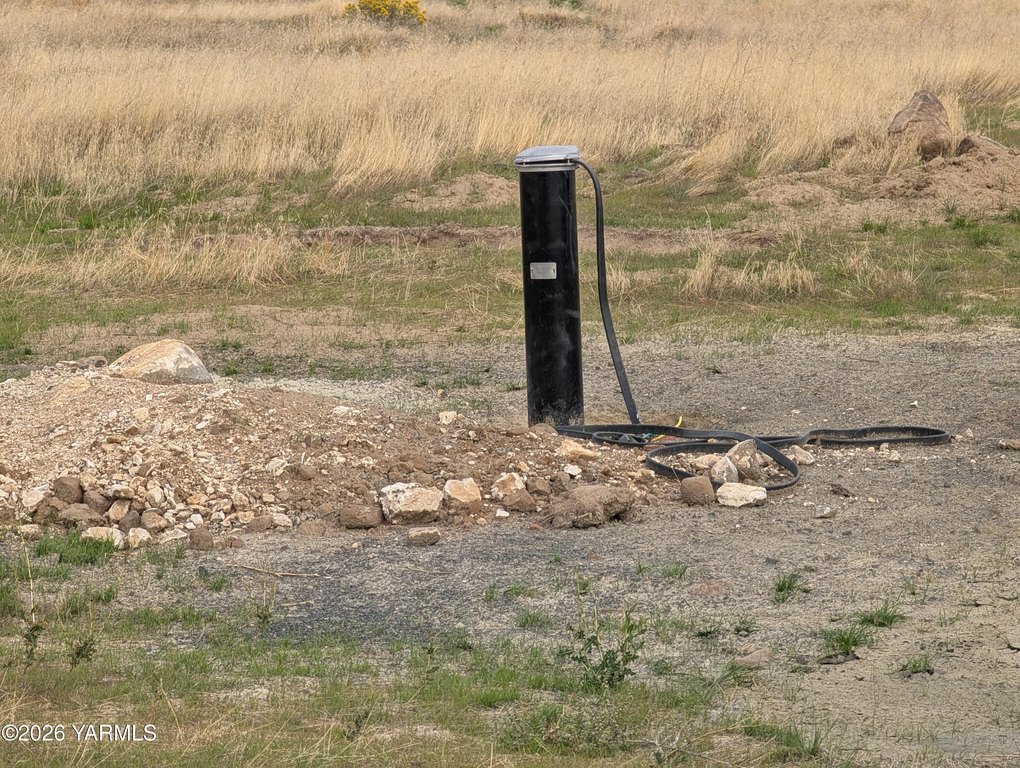 Picture 4