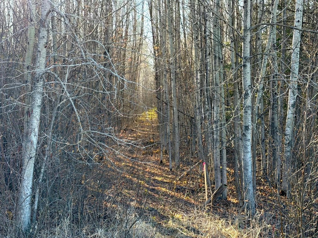 Picture 44
