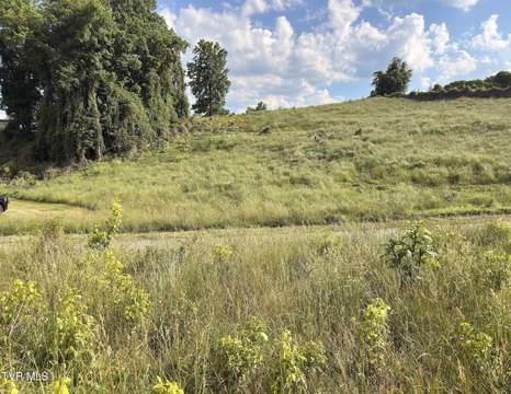 LAND - Kingsport, TN