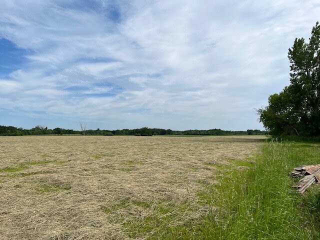 Picture 17