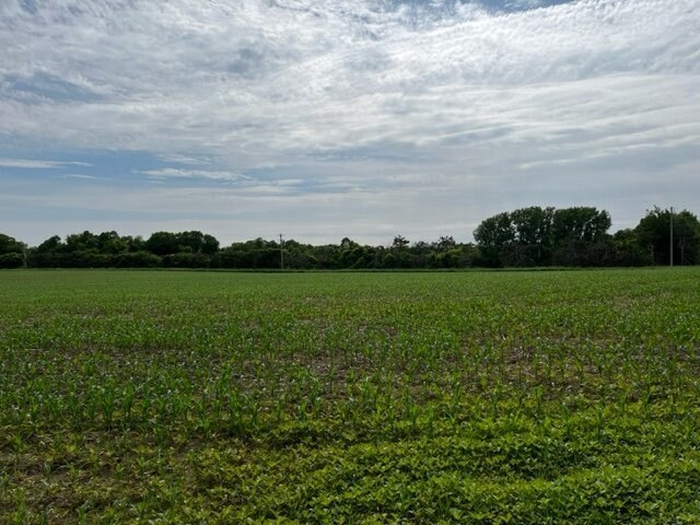 Picture 15
