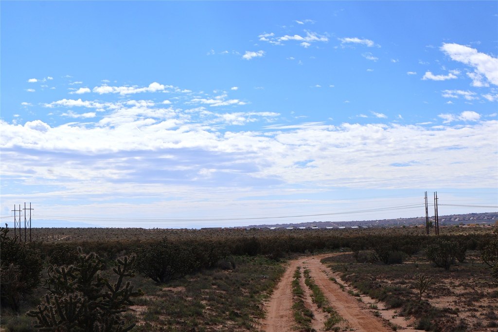 Picture 24