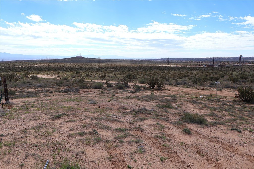 Picture 20
