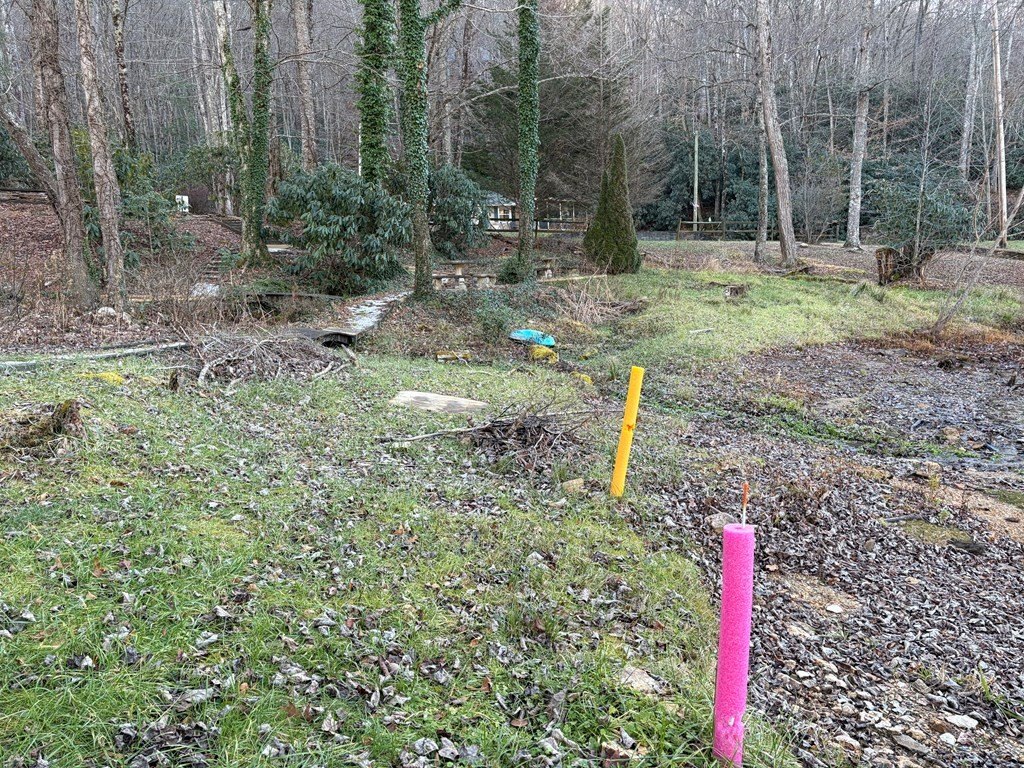Picture 2