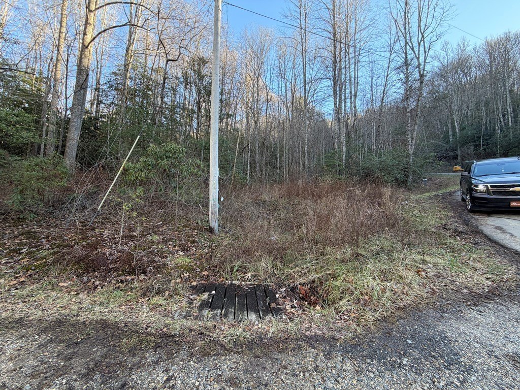 Picture 8