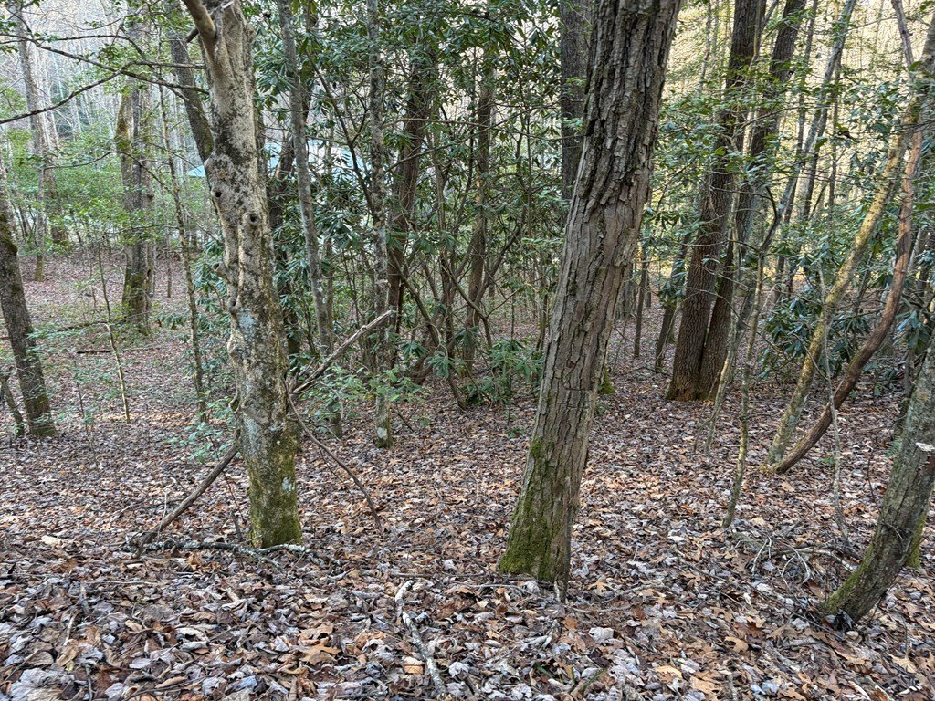 Picture 3