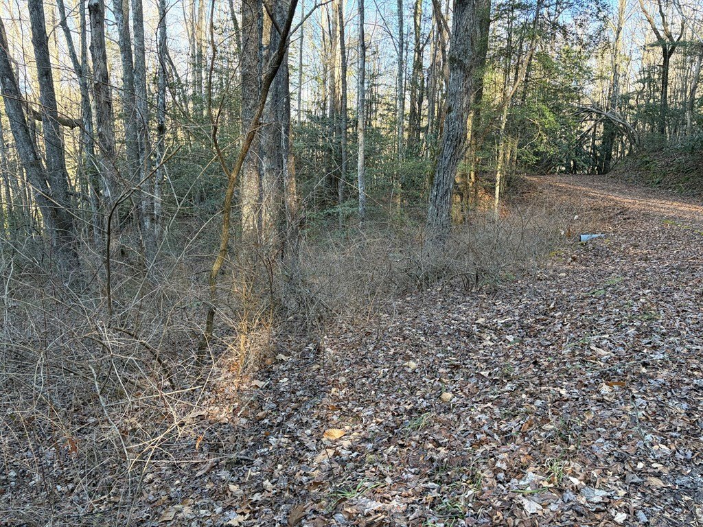 Picture 4