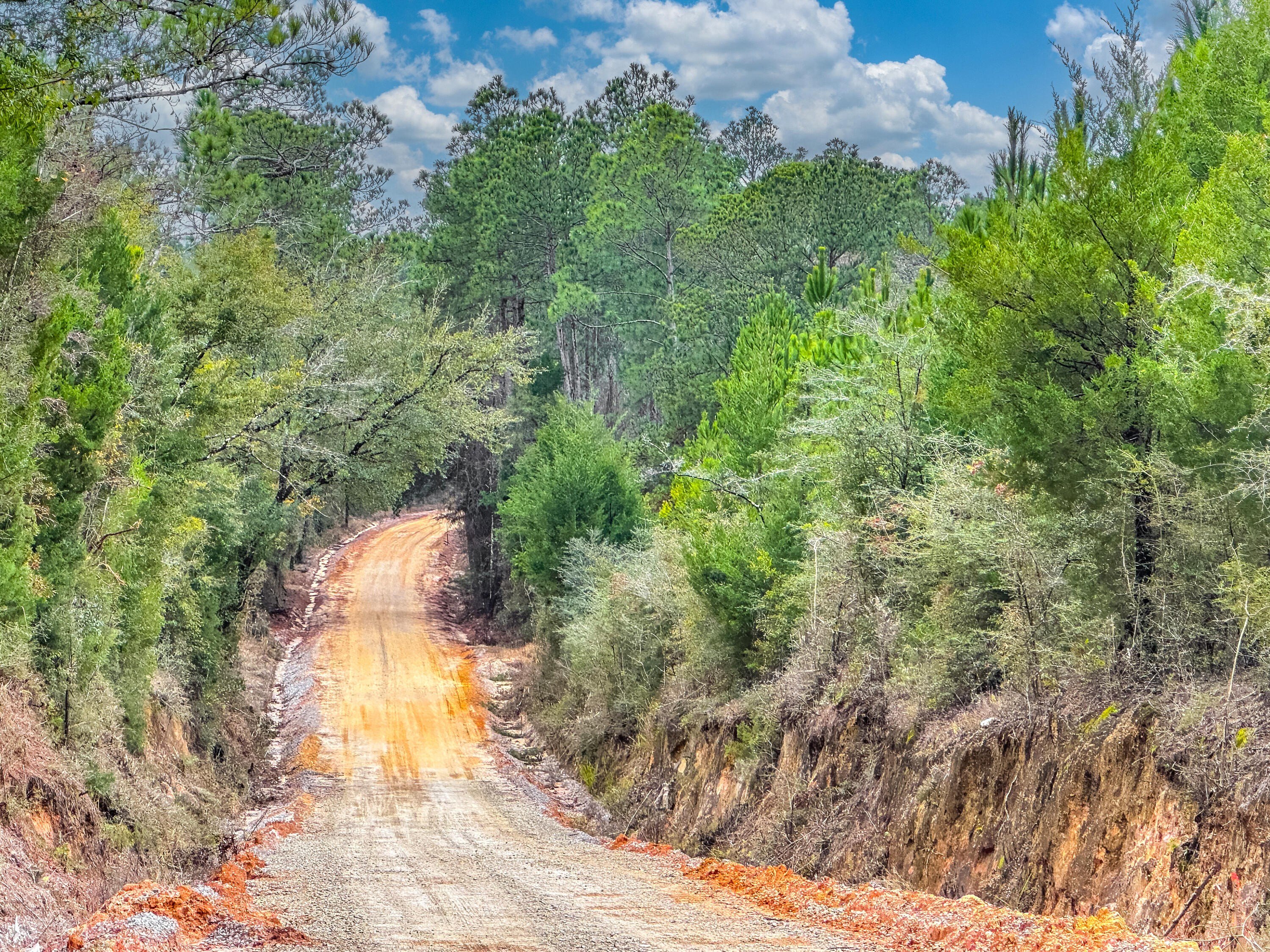 200 Acres Prime Land Caryville