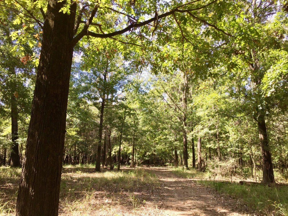 Picture 11
