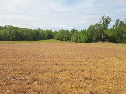 2.7 Acre Lot Heathsville, VA