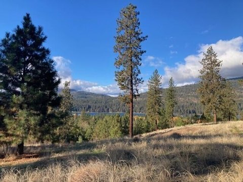 Lake Roosevelt View Lot