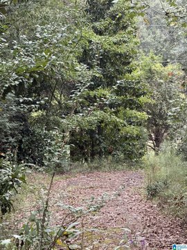 LAND/LOTS, ANNISTON, AL
