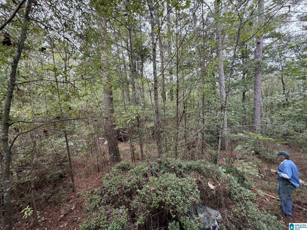 Picture 25
