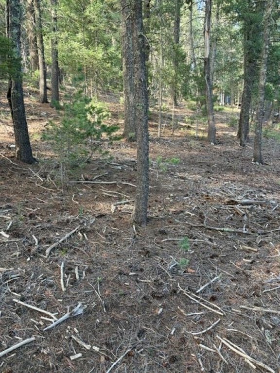 Picture 3