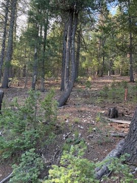 LAND - Cloudcroft, NM