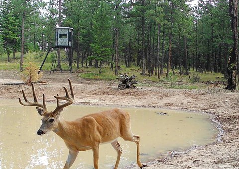 Montana Wilderness Land For Sale