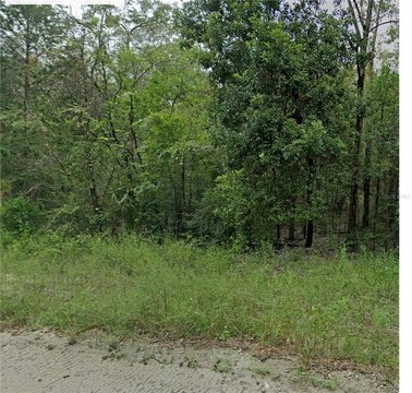 Land, WILLISTON, FL