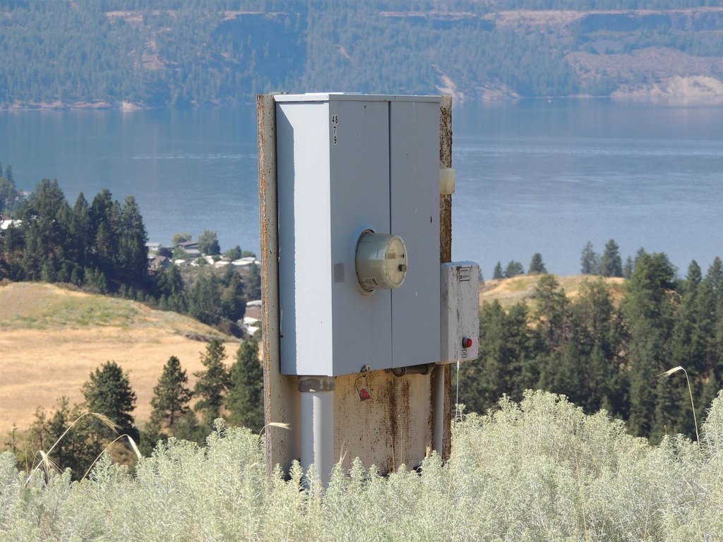 Picture 6