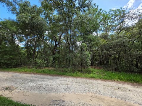 Land, OCKLAWAHA, FL