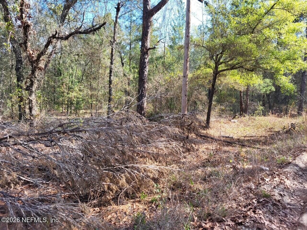 Keystone Heights Vacant Land