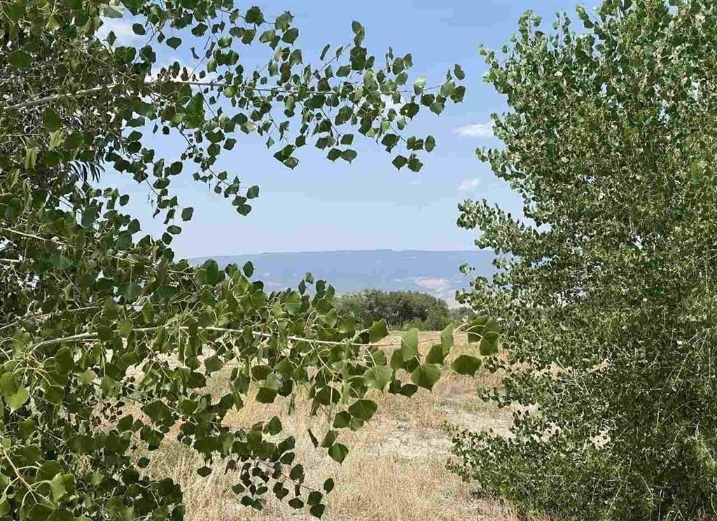 Picture 3