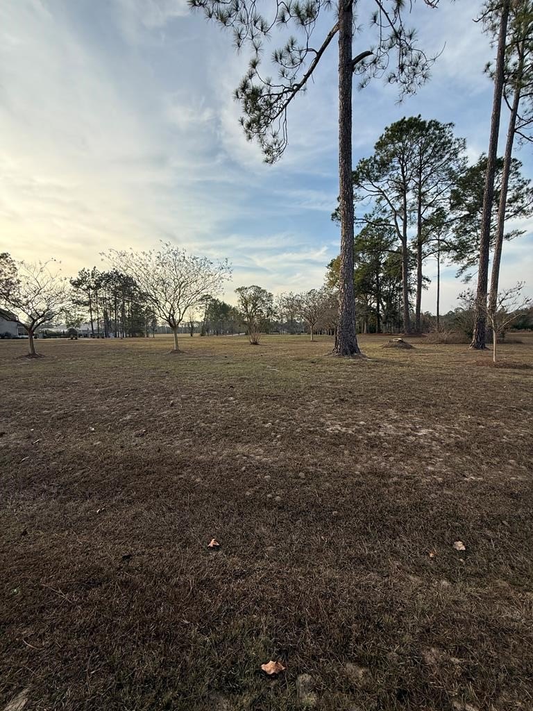 Residential Land in Mallard Pointe
