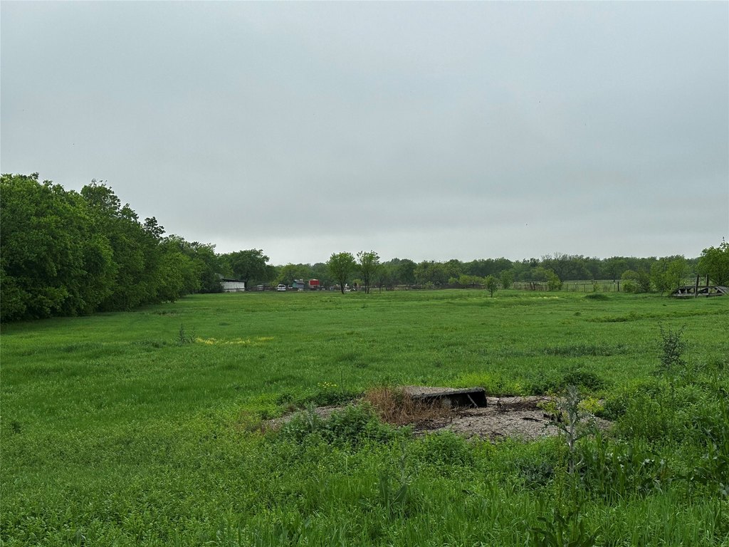 Picture 4