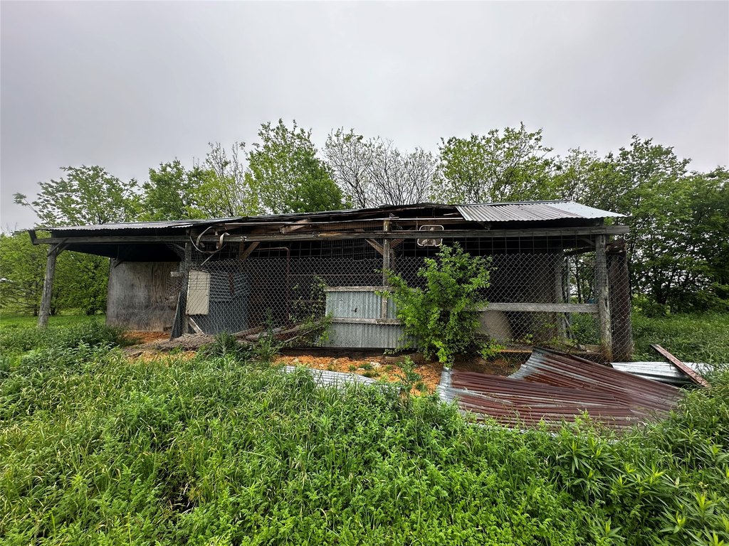Picture 6